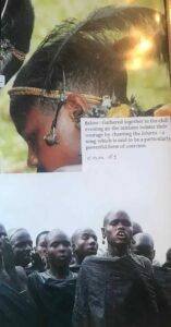 Samburu Earrings SB1215 Earring pendants Pair of ear pendants Samburu Kenya No 59 XIB4 Original list Samburu Earring Copper Woman girl